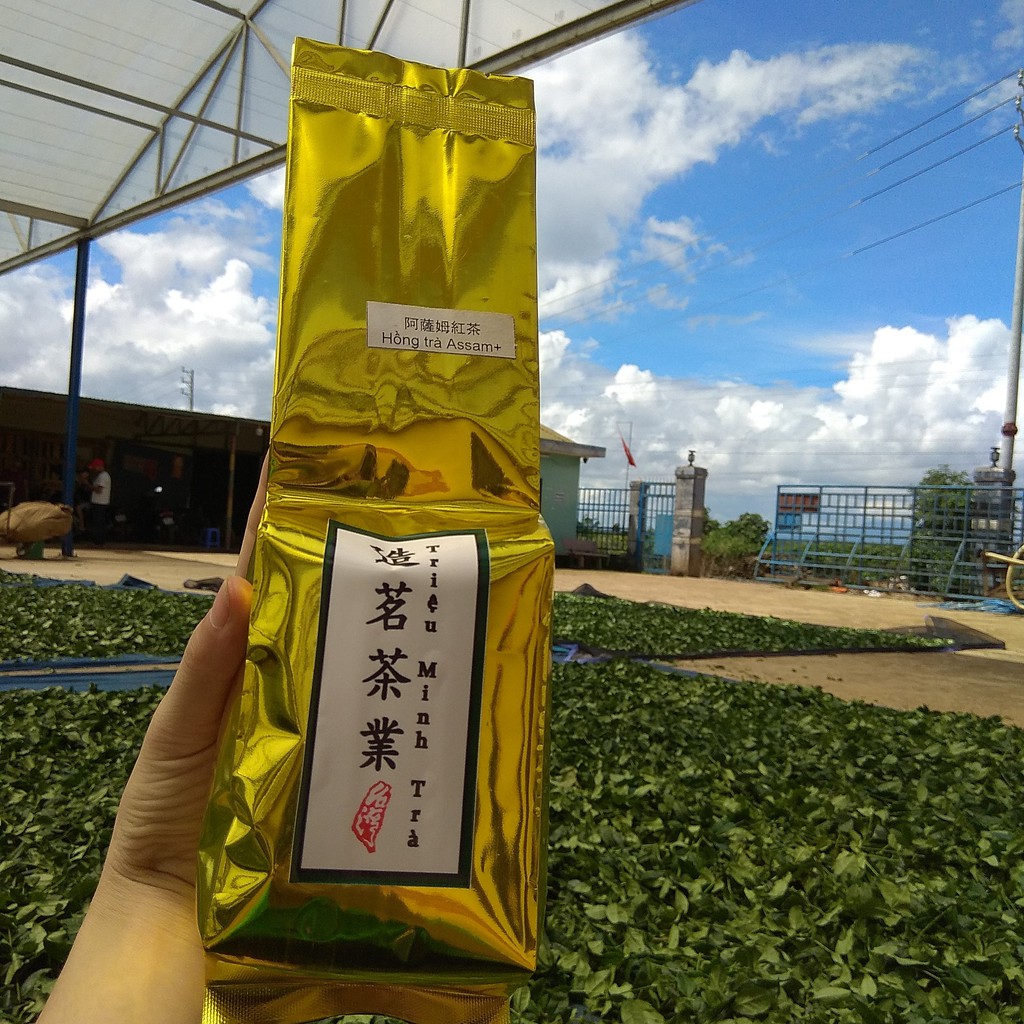 Hồng Trà Assam cộng Triệu Minh