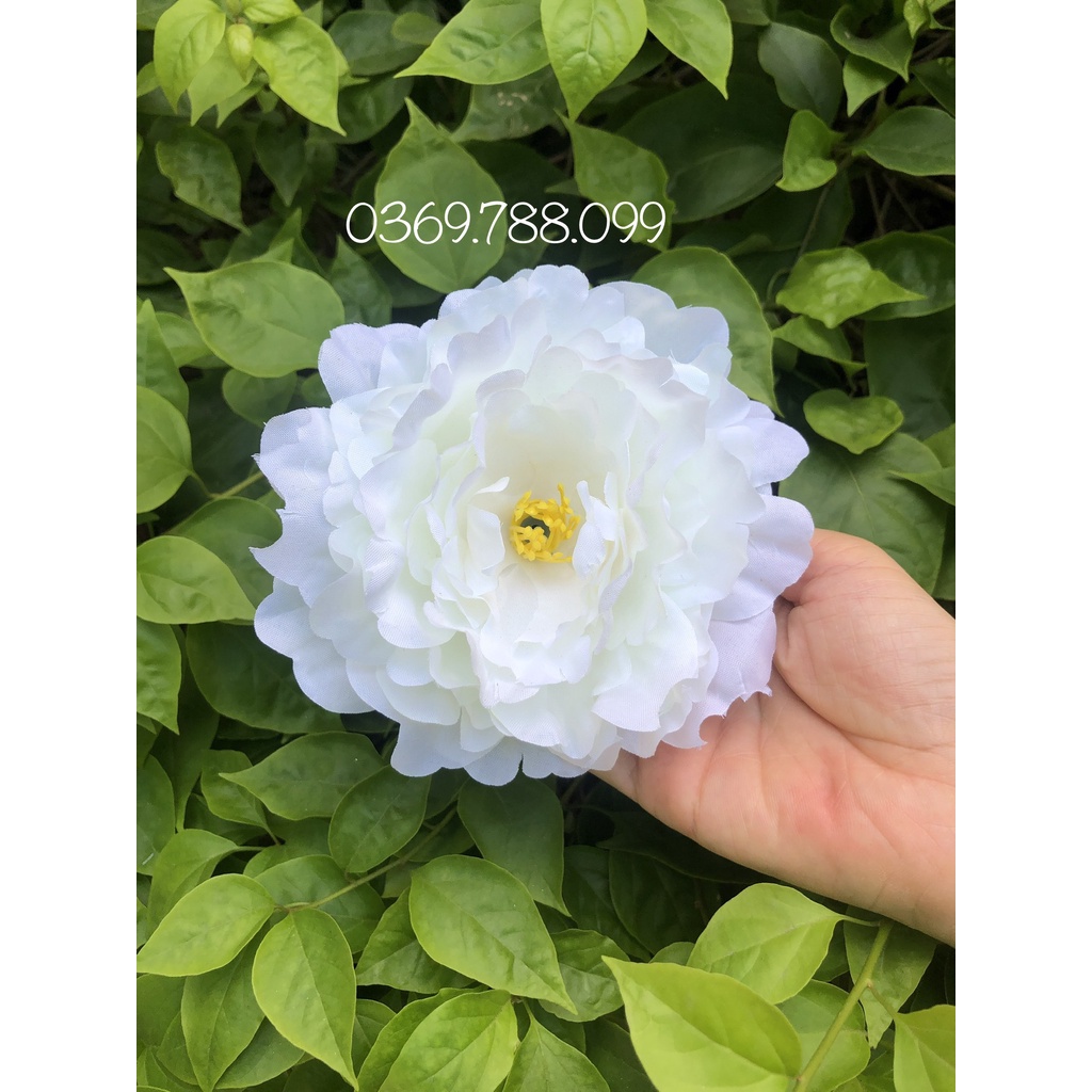 Đầu bông mẫu đơn trang trí set quà, làm đồ handmade