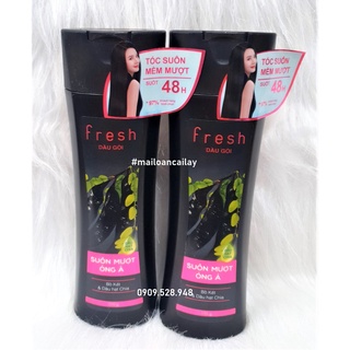 Dầu gội bồ kết và dầu hạt chia fresh 170g
