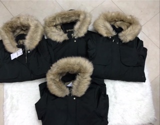 Áo khoác parka zara auth