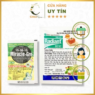 Bộ 2 sản phẩm kích ra rễ + diệt trĩ, rệp cho cây hoa hồng