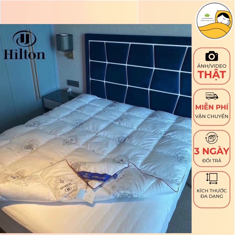 Ruột Chăn Bông Lông Vũ Hilton Nhập Khẩu Siêu Ấm Siêu Nhẹ 2m*2m3