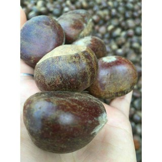Sỉ lẻ hạt dẻ 1kg