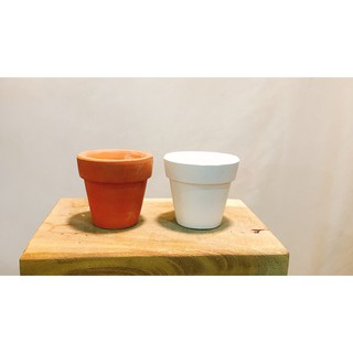 Chậu đất nung trồng sen đá 5cm x 5cm 🌱