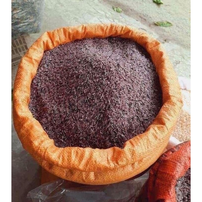 Gạo tím nương người MÔNG 2kg-Đặc sản Yên Bái