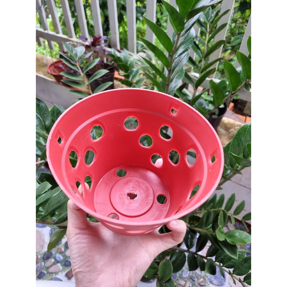 [Giá hủy diệt] set 10 chậu nhựa giả đất trồng lan f18 hàng loại 1 siêu bền chắc chắn