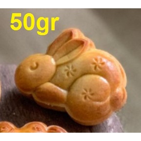 Khuôn trung thu lò xo 50gr thỏ ngọc M1