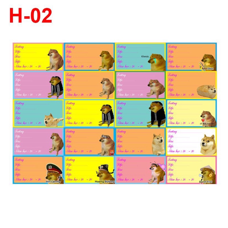 conbo 20-60 nhãn vở cheems khác nhau có decal dán