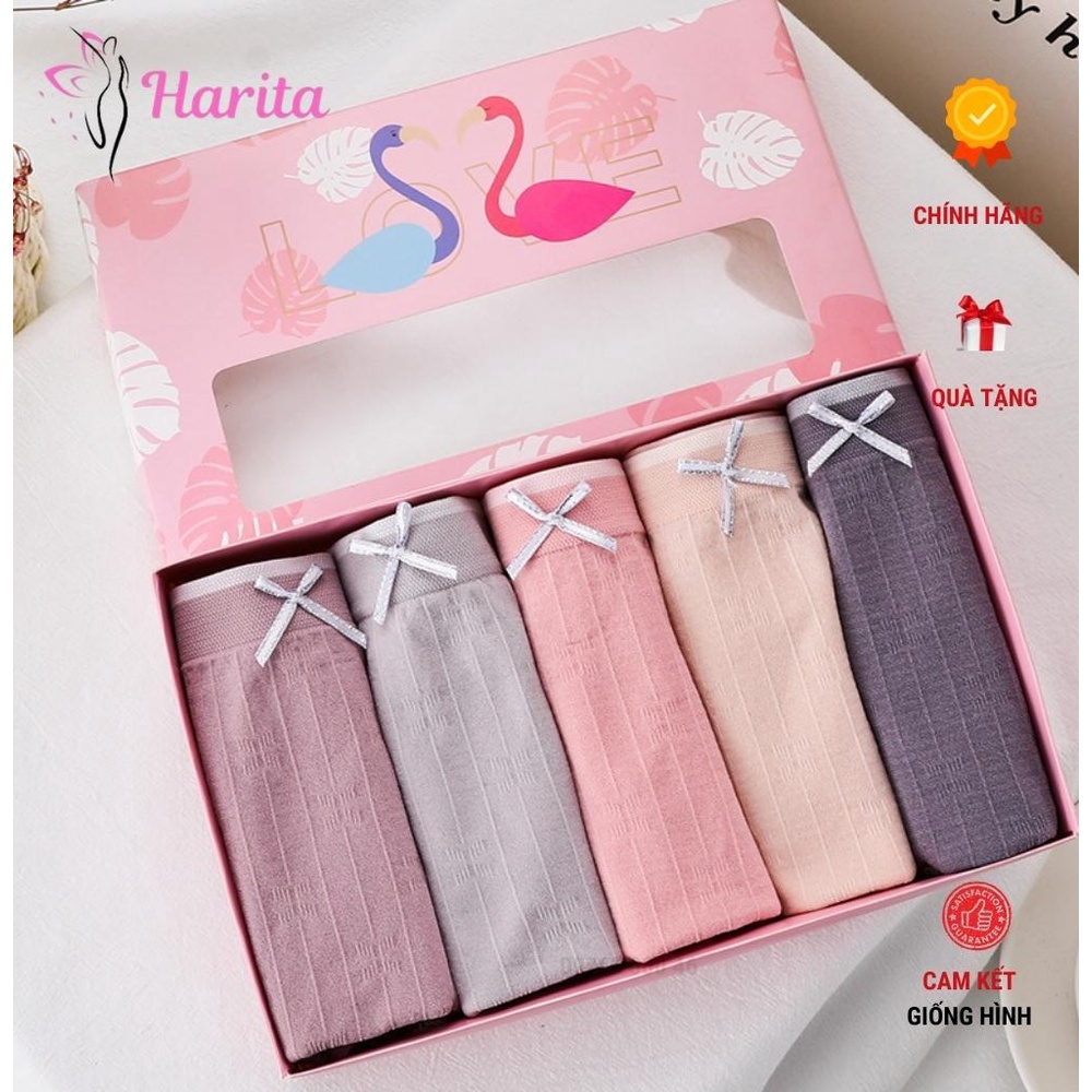 Set 5 chiếc quần lót nữ cotton kháng khuẩn Harita cao cấp xuất Nhật
