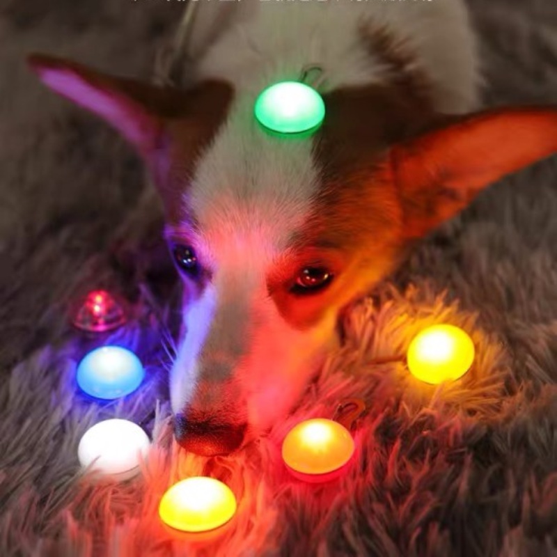 Mặt Dây Chuyền Có Đèn Led Phát Sáng Độc Đáo Cho Thú Cưng