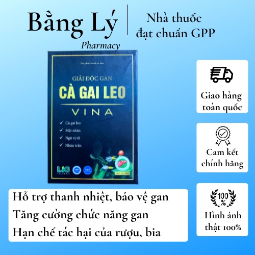 Cà gai leo vina - thanh nhiệt, giải độc gan