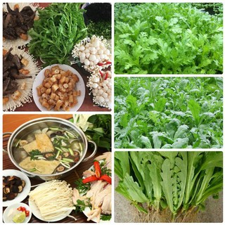 [HOT] Hạt giống rau cải cúc Tẻ - 20 gr