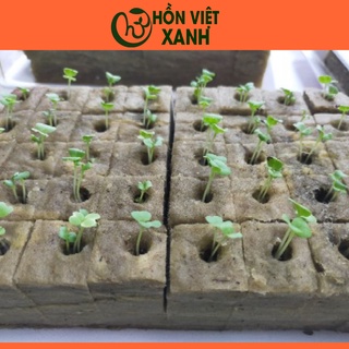 Gía thể ươm hạt rockwool trồng rau 1 vỉ 40 miếng giúp cây nảy mầm nhanh và dễ dàng nhất - Thủy Canh Miền Trung