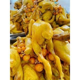 🐔GÀ MÁI ÔM TRỨNG NON K đầu☘️☘️