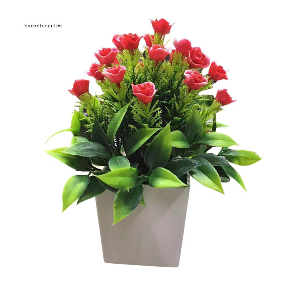 1 chậu hoa bonsai nhân tạo trang trí sân vườn/nhà ở/văn phòng DIY