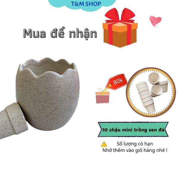 [MUA ĐỂ NHẬN QUÀ ] Chậu trồng cây mini cao cấp, Chậu trồng sứ trồng sen đá,xương rồng.Chậu trang trí nhà cửa, văn phòng.