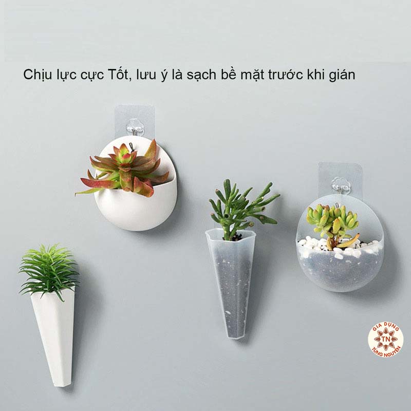 Móc treo tường siêu chắc [MÓC 1K]