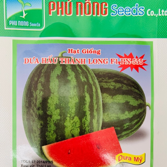 Hạt giống dưa hấu trái hình oval