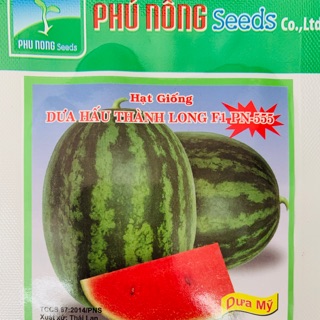 Hạt giống dưa hấu trái hình oval