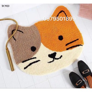 Thảm Chùi Chân Siêu Thấm Giá Rẻ Nhất