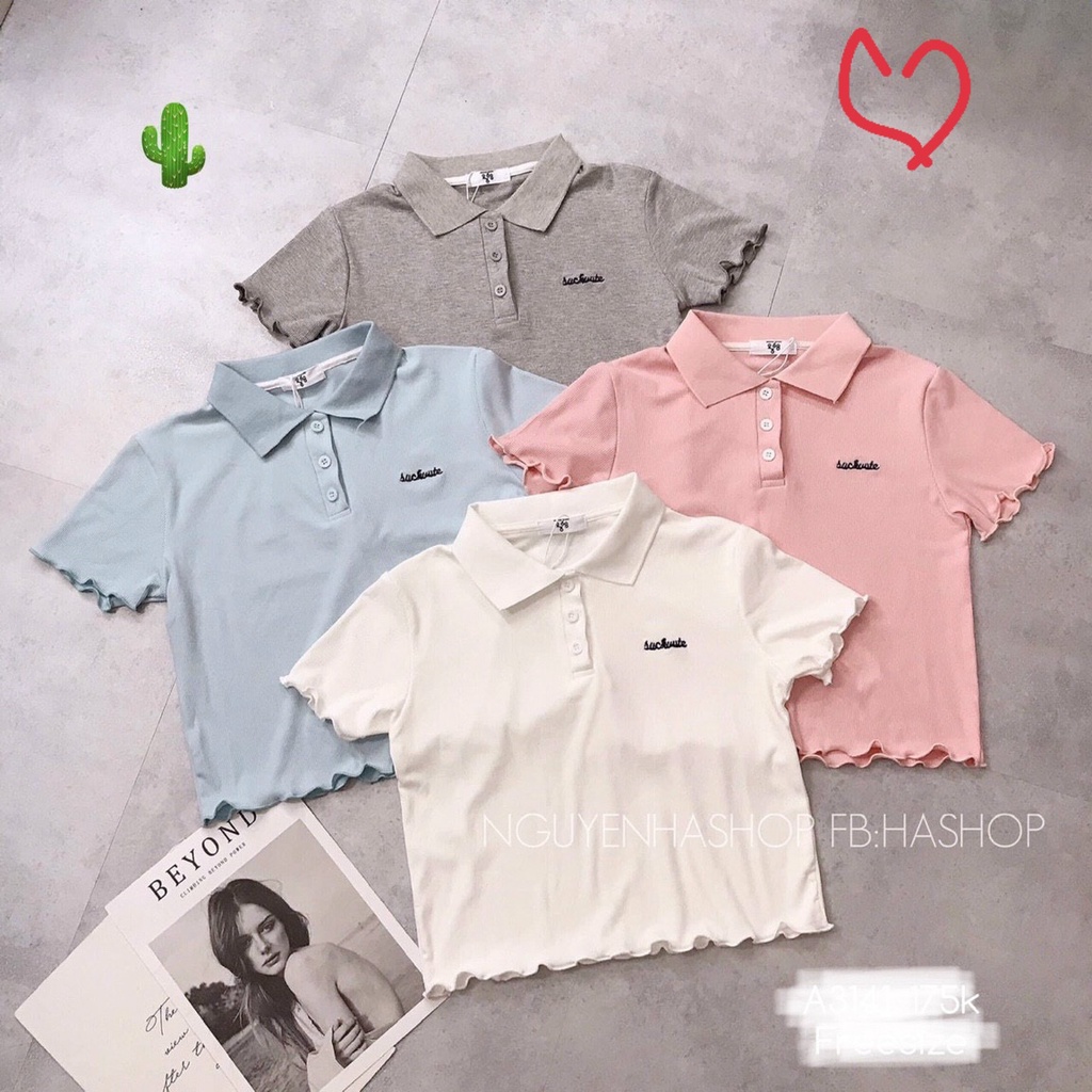 [Dưới 50kg] Áo thun gân polo đính nút tay ngắn lai cuốn biên Pc