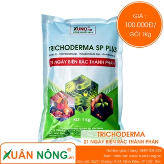 Nấm trichoderma