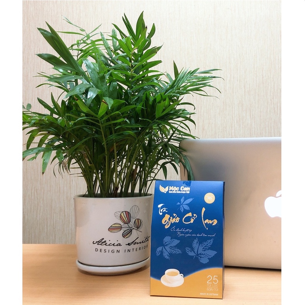 Trà Giảo Cổ Lam Mộc Can Giúp Ổn Định Huyết Áp, Xơ Vữa Động Mạch, Ngủ Sâu Giấc Hộp 125g