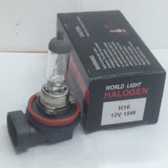 Bóng H16 12V 19W