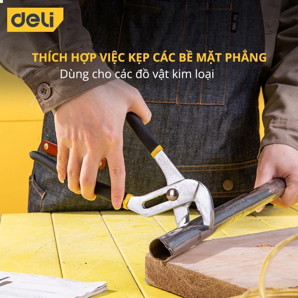 Kìm Mỏ Quạ Deli 10 Inch Cao Cấp - Giúp Giữ, Kẹp, Cắt Vật Dụng, Dành Cho Thợ Điện Nước Chuyên Nghiệp - DL2610 .