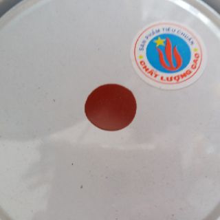 Sơn chậu kiểng cao cấp