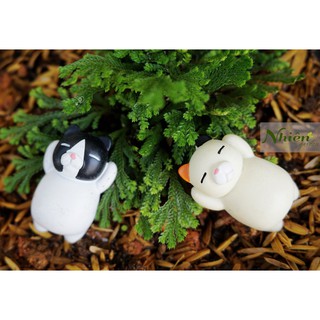 [Hình thật] MÈO LƯỜI - Phụ kiện Terrarium ĐL