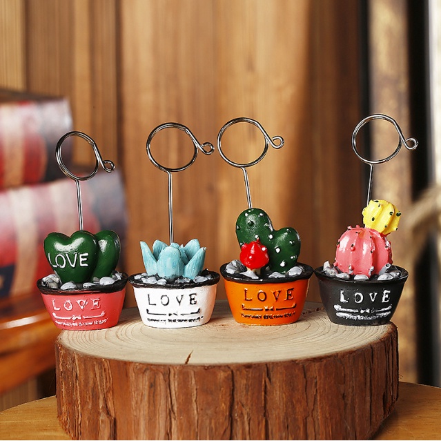 Kẹp ảnh Chậu cây xương rồng