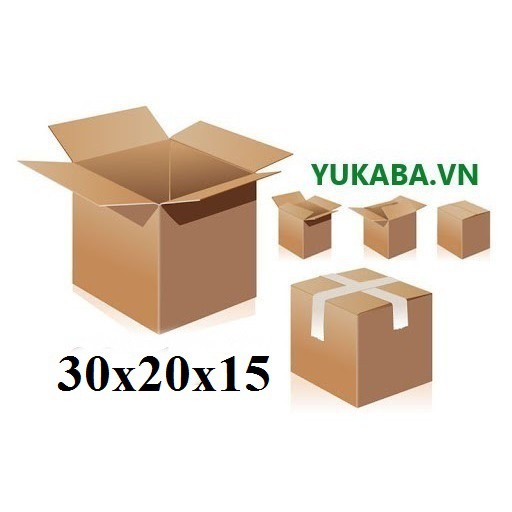 10 Thùng giấy carton 30x20x15