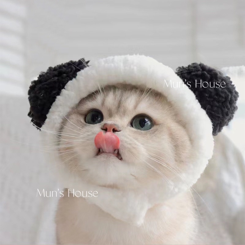 Mũ hình gấu xinh cho thú cưng