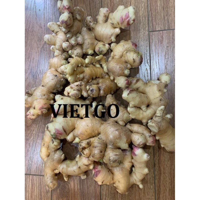 2kg gừng ta cay xé 65k