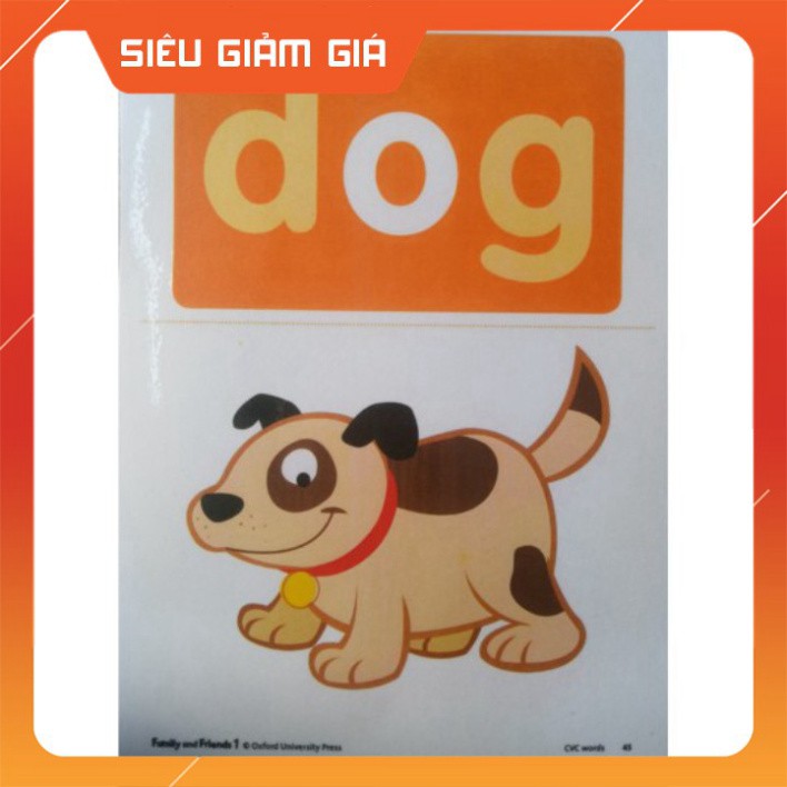 Flashcard Family and friends 1 | Family and friends flashcard 1 | GIẢM GIÁ SẬP SÀN