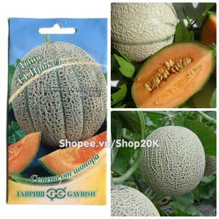 Bán Hạt giống dưa lưới siêu ngọt hàng đẹp
