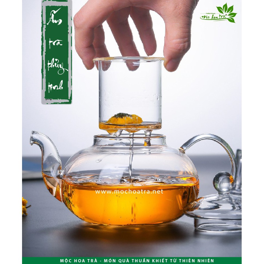 ẤM TRÀ THỦY TINH CÓ LÕI LỌC - Mộc Hoa Trà