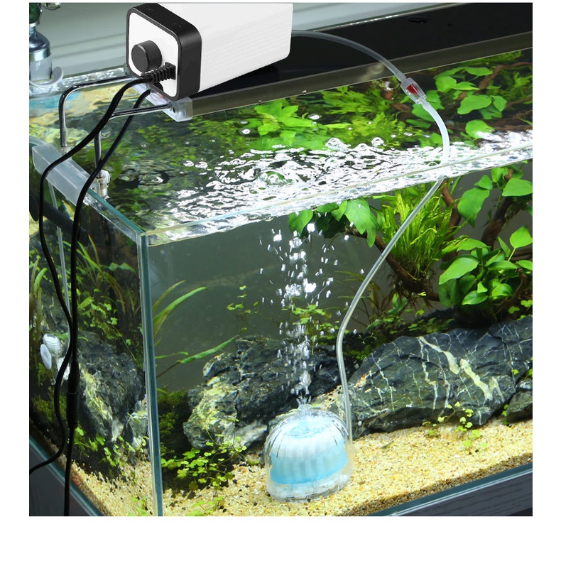 Phụ Kiện Lọc Bơm Oxy JX-01 Dành Cho Bể Nuôi Cá Cảnh