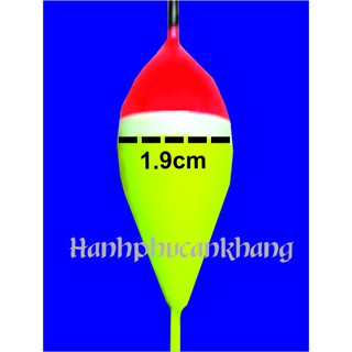 Bộ 3 Phao Câu Cá (5gr - 8gr)