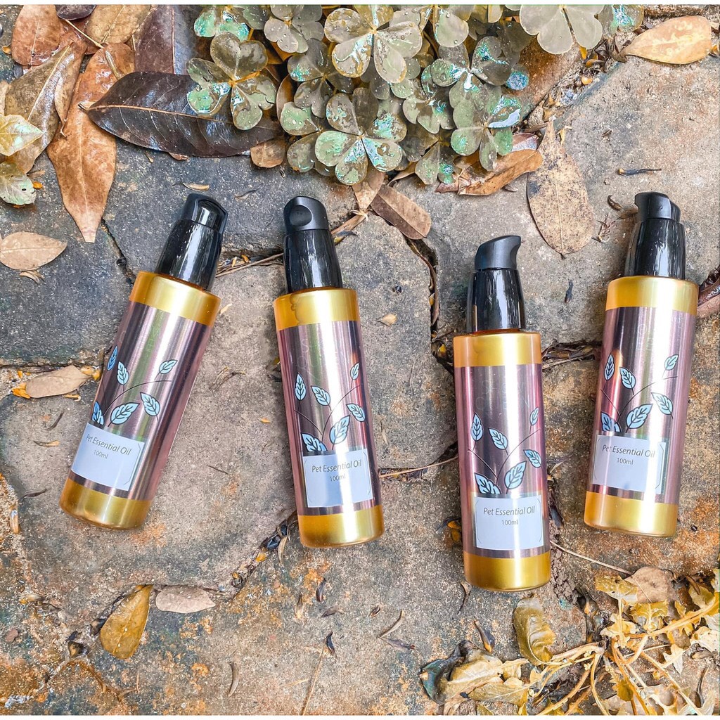 [Mã 253FMCGSALE giảm 8% tối đa 100K đơn 500K] Tinh dầu dưỡng lông thú cưng Show Queen 100ML