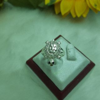 Nhẫn nữ bạc( nhẫn rùa)