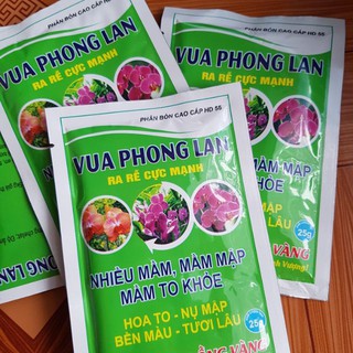 phân bón Vua Phong Lan ra rễ cực mạnh, nhiều mầm, mầm mập.