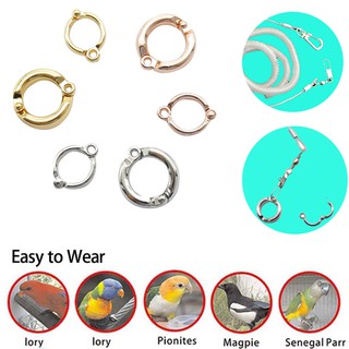 1 Vòng Đeo Chân Huấn Luyện Chim Bằng Thép Không Gỉ Từ 4 Đến 10mm