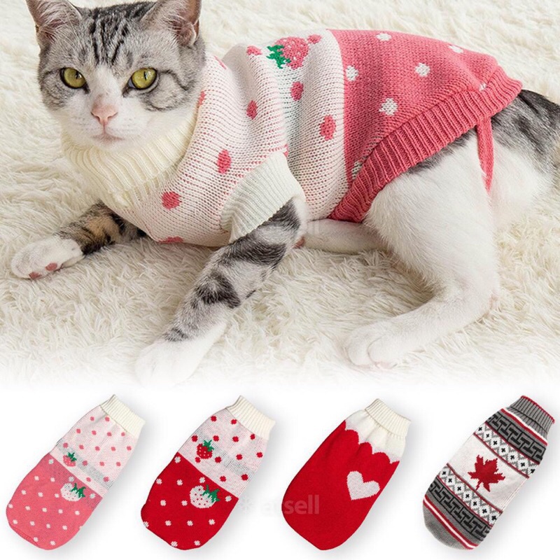 Áo len giữ ấm cho mèo