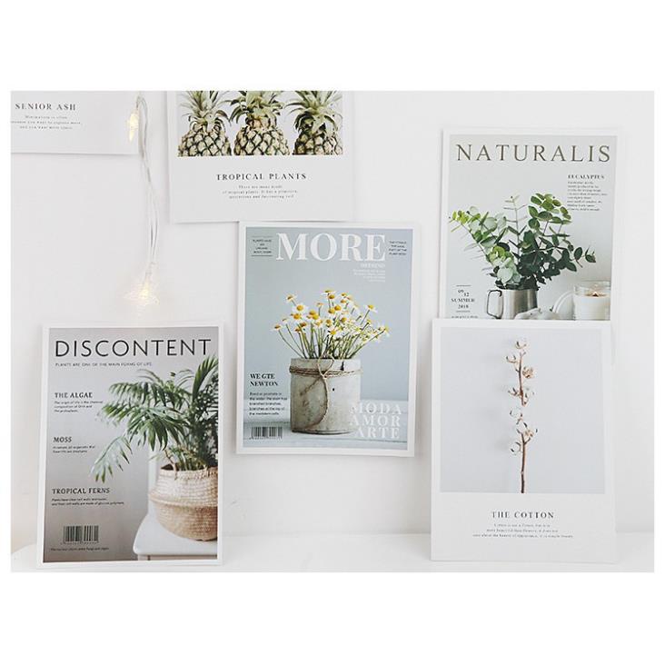 Bìa tạp chí chụp ảnh, Báo Chụp Hình Lookbook Thời Trang Đẹp, Đồ Decor