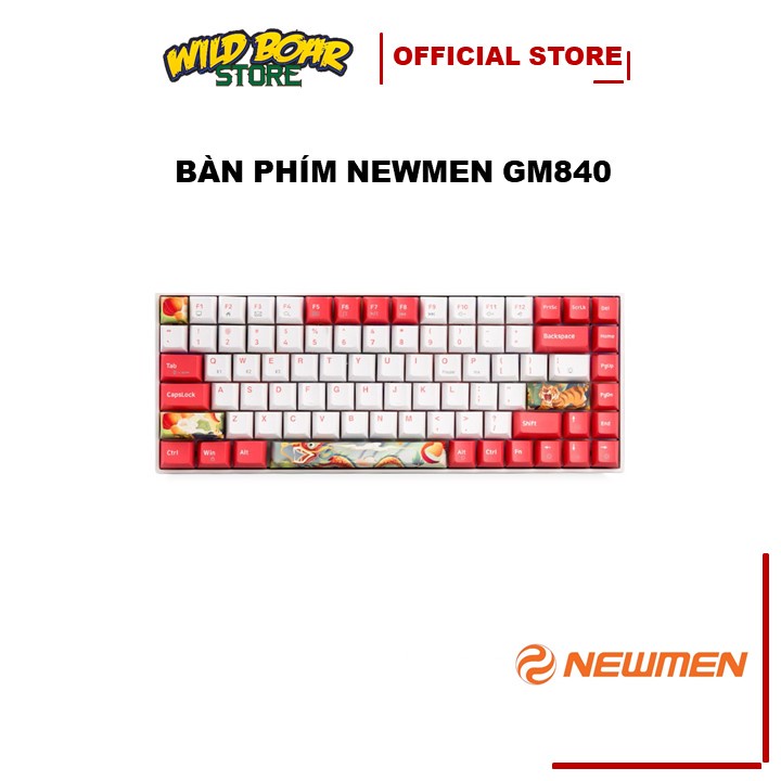 Bàn phím cơ 🖥FREESHIP🖥 NEWMEN GM840 ( Dual Mode Wireless / LED RGB) - BH 24TH