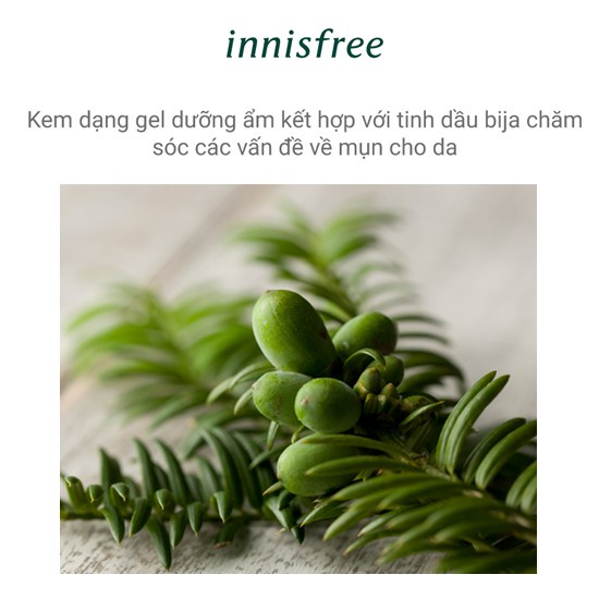 [Mã COSIF05 giảm 10% đơn 400K] Gel dưỡng dành cho da mụn innisfree Bija Trouble Gel Cream 40ml