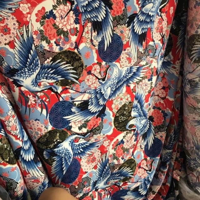 Vải c Vân đỗ