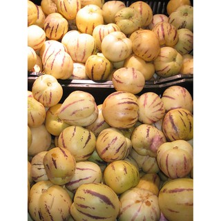 Hạt giống Dưa Pepino vàng